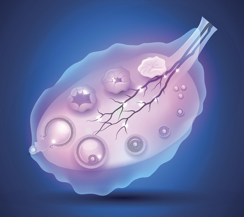 铜陵铜官区试管婴儿哪里好？
